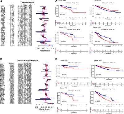 Pan-Cancer Analysis Identified CD93 as a Valuable Biomarker for Predicting Patient Prognosis and Immunotherapy Response